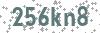 Security Code - Visually impaired may click to show text version of code in new window